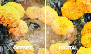 Lee más sobre el artículo OFFSET VS. DIGITAL: ¿CUÁL ES LA MEJOR OPCIÓN PARA TU PROYECTO DE IMPRESIÓN?